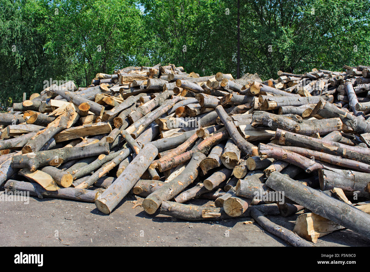 Holzschnitt auf dem Betriebshof des Protokolls und zum Verkauf bereit. Stockfoto