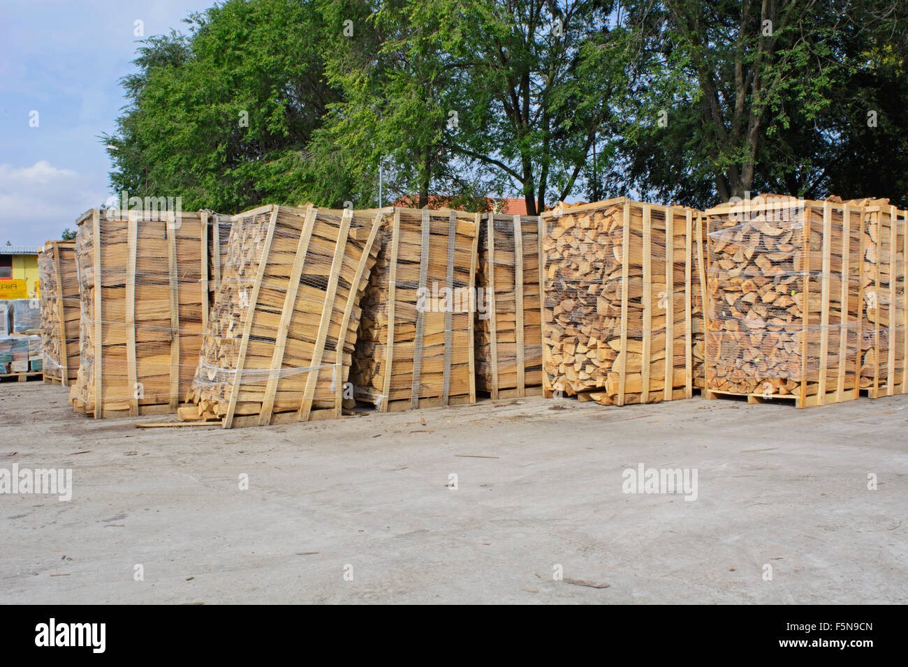 Auf Lager Platinen Lager Brennholz auf Kunden warten. Stockfoto