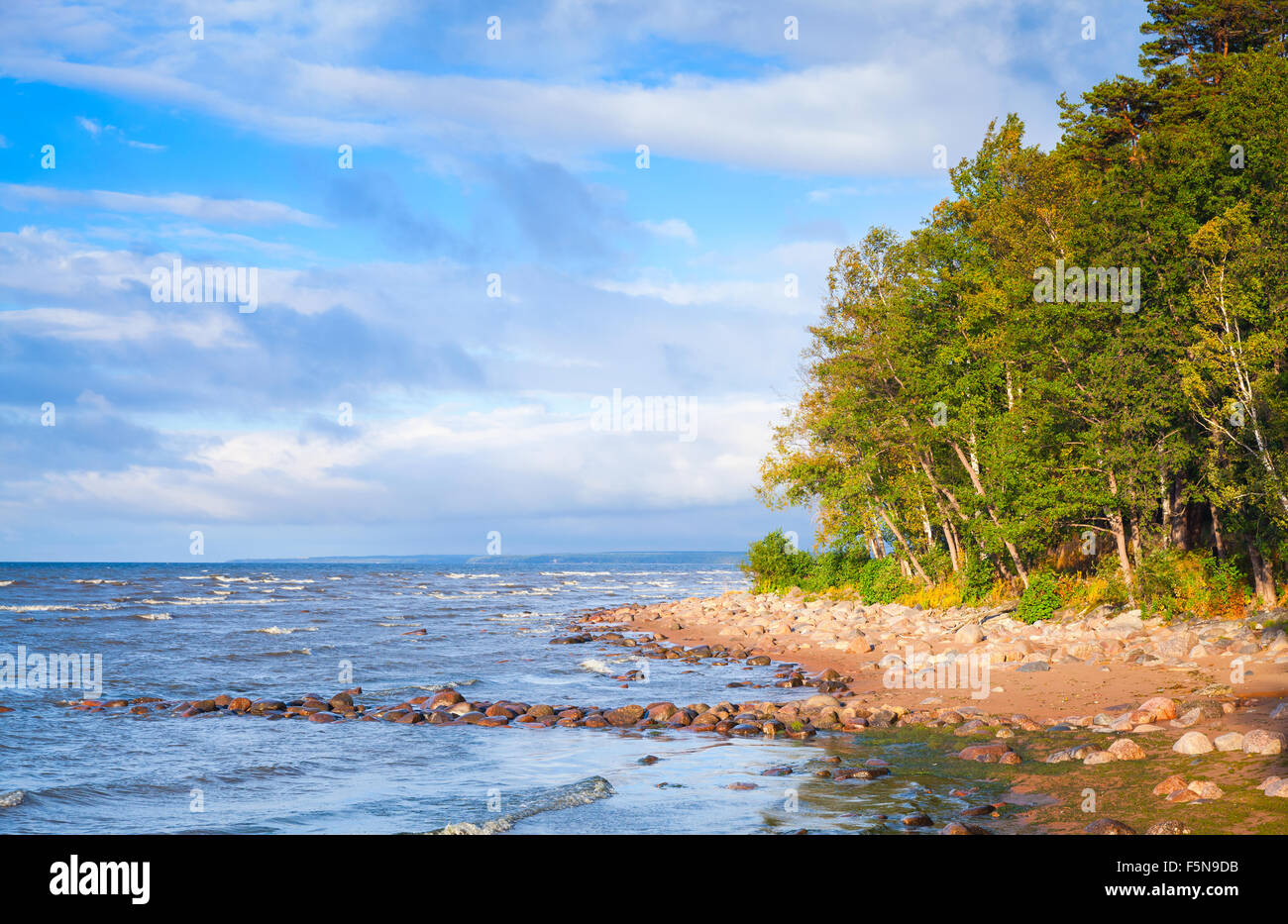 Meerbusen, Landschaft mit Küsten Steinen und Bäumen unter blauen Wolkenhimmel Stockfoto