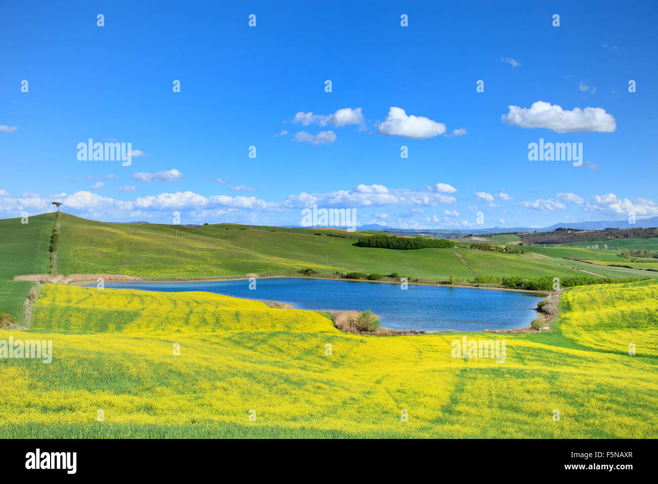 Toskana, Crete Senesi Landschaft in der Nähe von Siena, Italien, Europa. Kleine blaue See, grüne und gelbe Felder, blauer Himmel mit kleinen Wolken Stockfoto