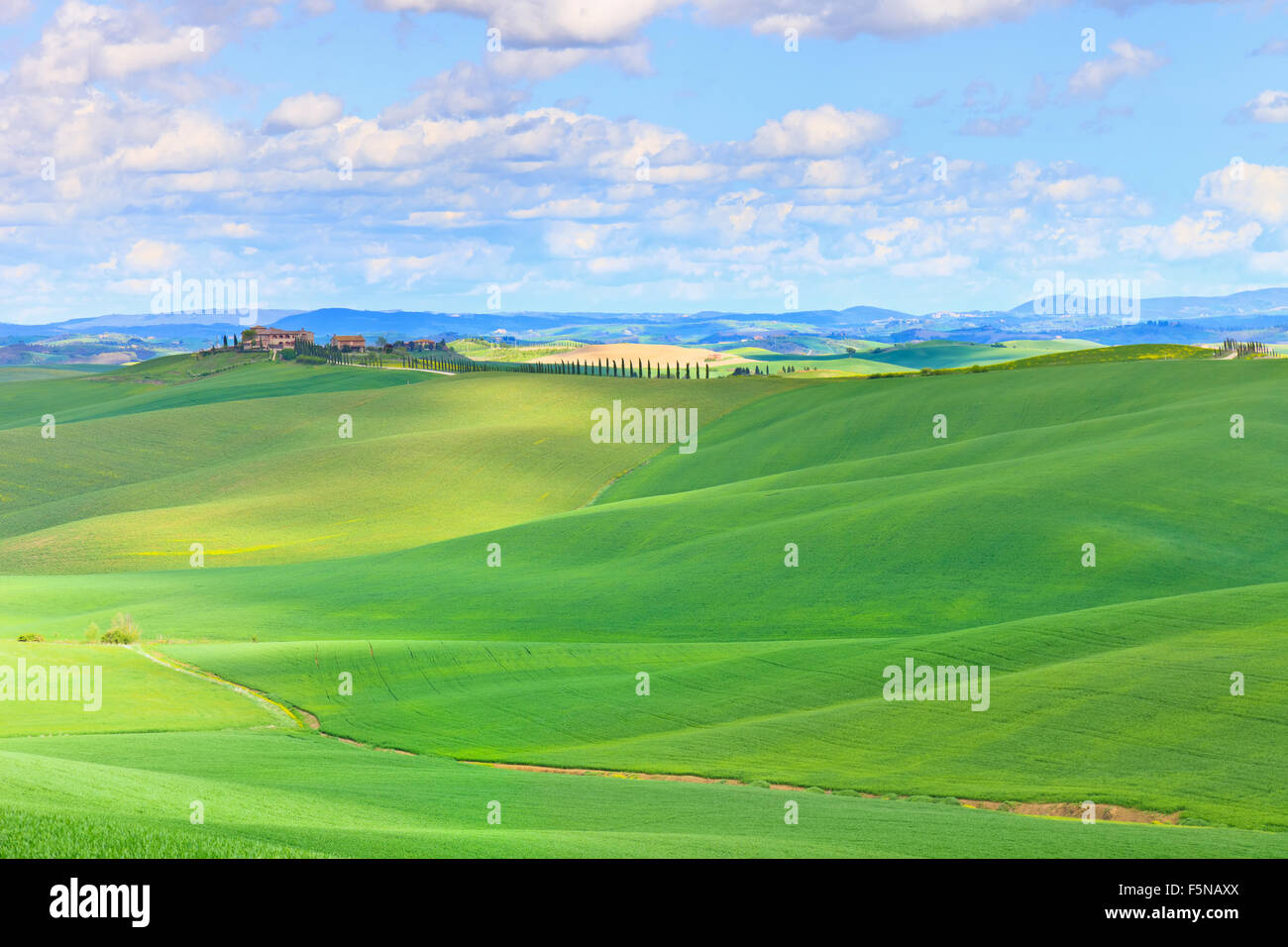 Toskana, Crete Senesi Land Landschaft, Italien, Europa. Sanfte Hügel, grüne Felder mit Sonne, blauer Himmel bewölkt und Stockfoto