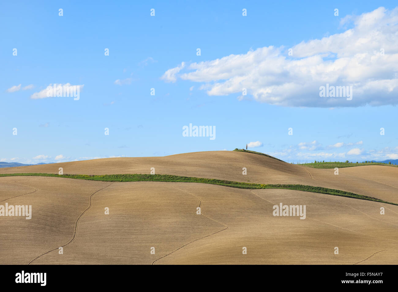 Toskana, wellige gepflügtes Feld, ländlichen Landschaft in Crete Senesi, Italien, Europa. Subtile Schatten, blauen Wolkenhimmel und kleiner Baum Stockfoto