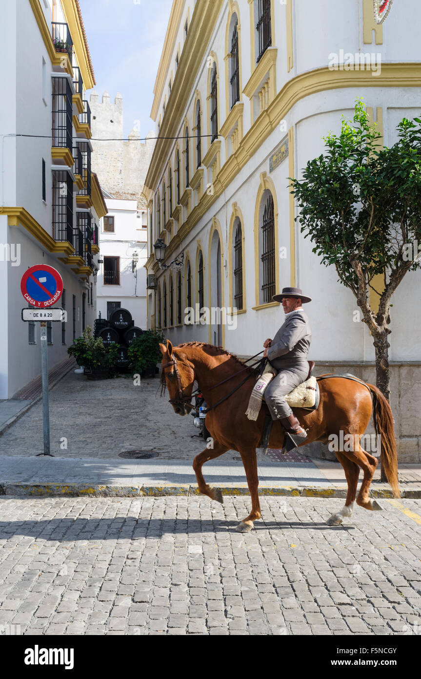 Andalusische Mann auf Vollblut Pferd in Tarifa Altstadt, Provinz Cadiz, Andalusien, Spanien Stockfoto