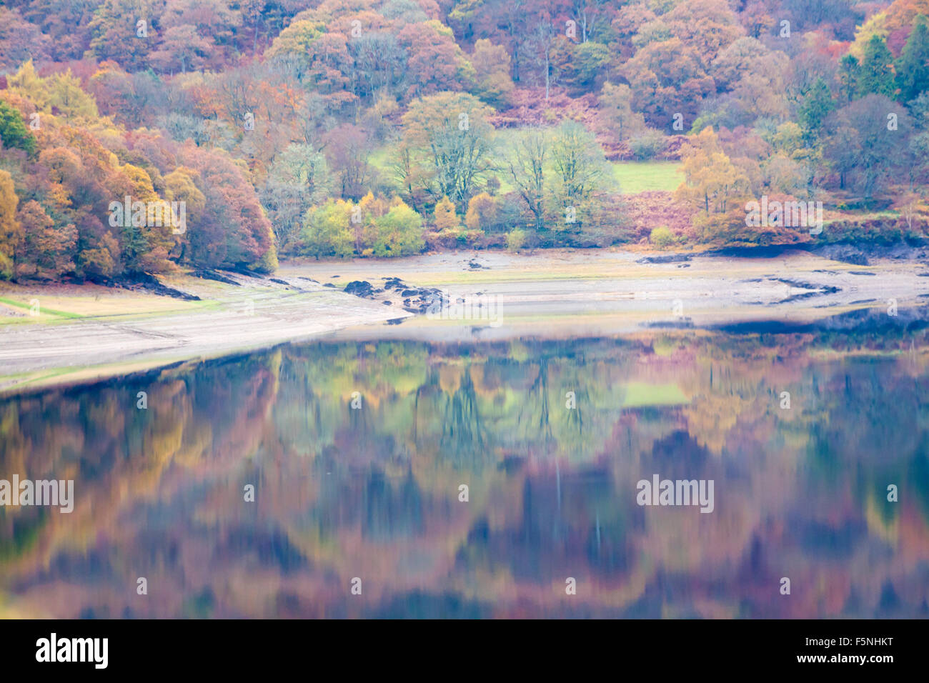 Herbstliche Reflexionen am Garreg DDU Dam und Stausee, Elan Valley, Powys, Mid Wales, Großbritannien im November mit Herbstfarben Stockfoto