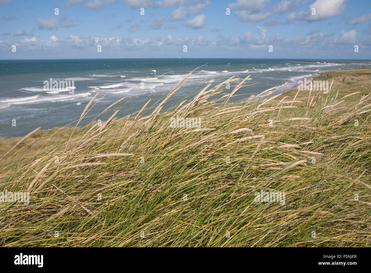 Düne Gräser umrahmen die Küste im Norden der West Küste von Dänemark. Wellen der Nordsee. Stockfoto
