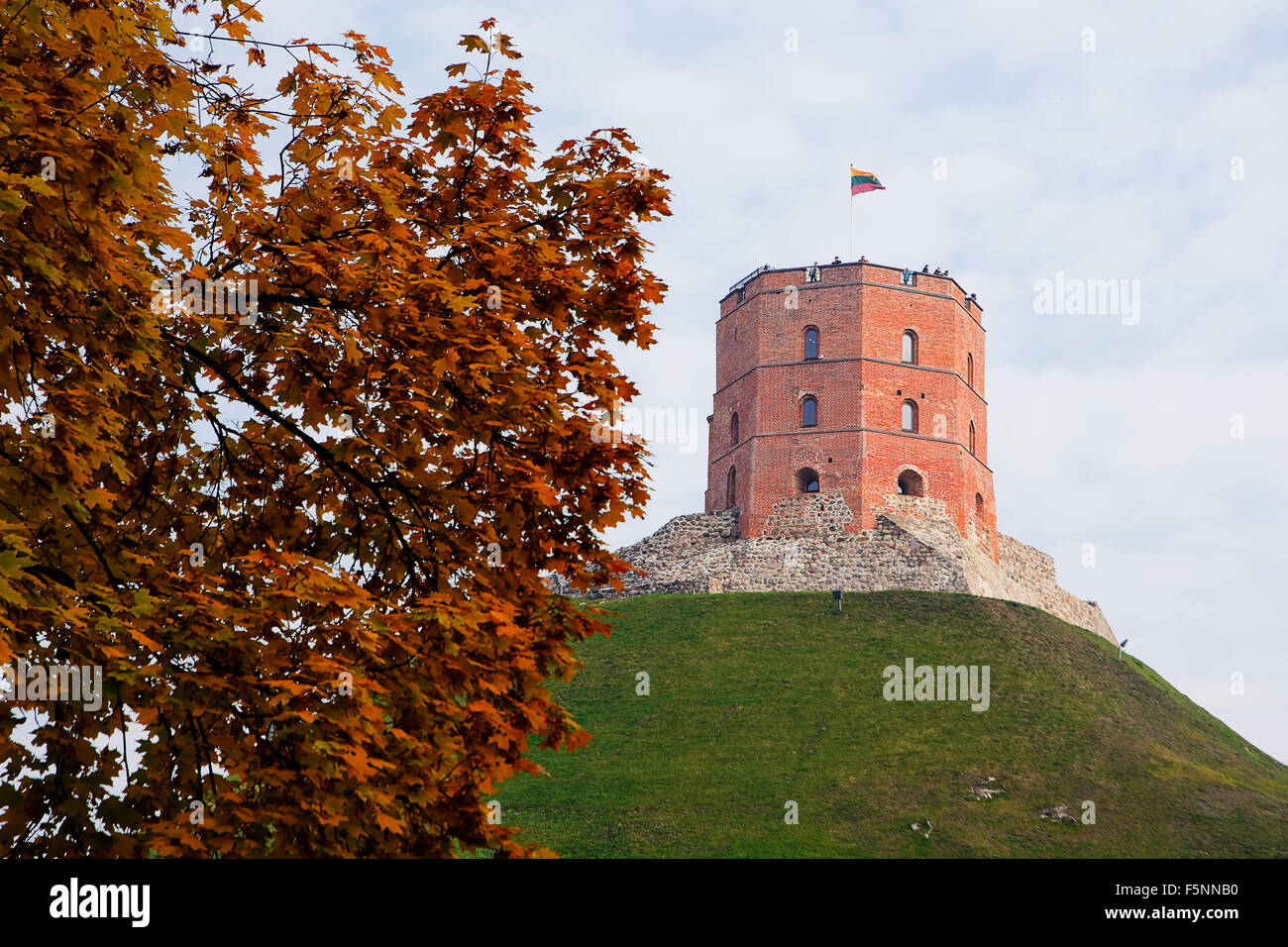 Gediminas-Burg in Vilnius (Litauen) Stockfoto