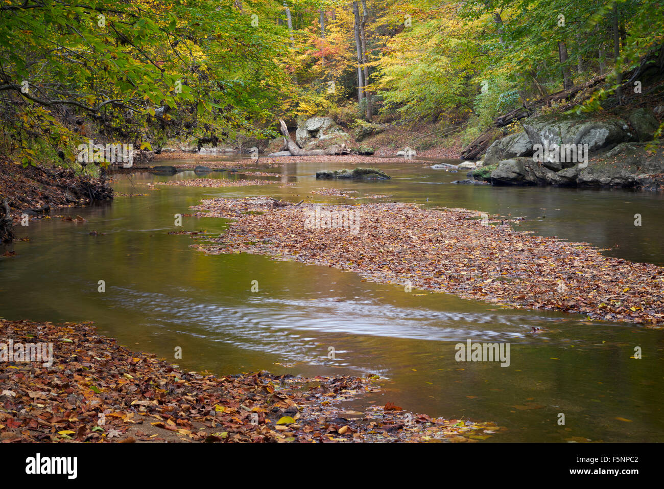 Herbst auf dem Nahen Patuxent River in Howard County, Maryland Stockfoto