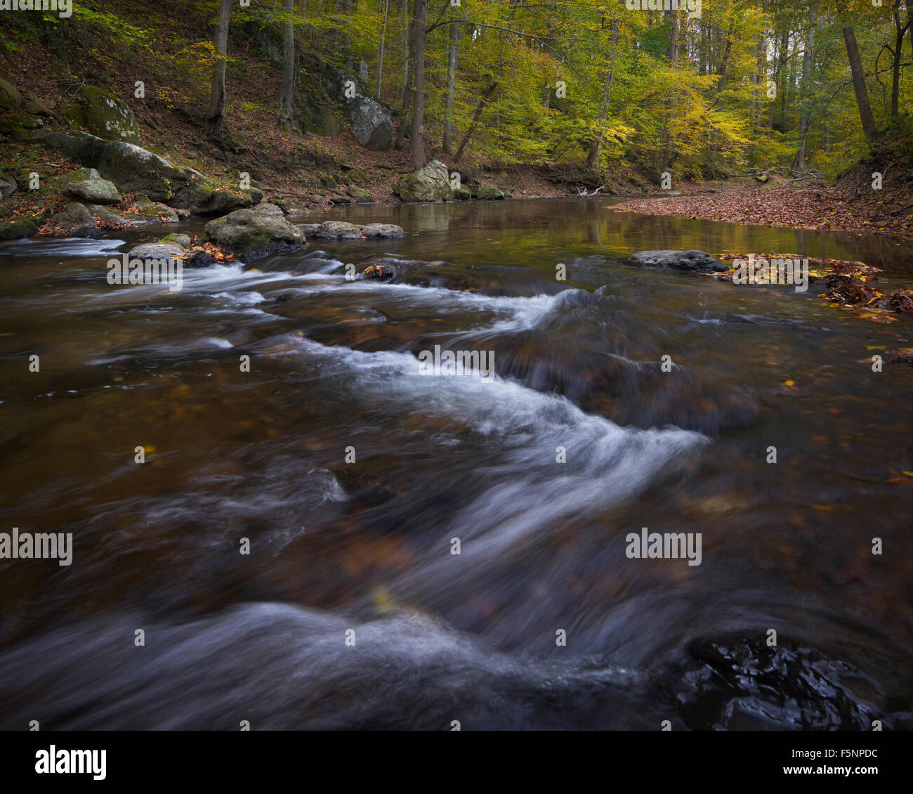 Herbst auf dem Nahen Patuxent River in Howard County, Maryland Stockfoto