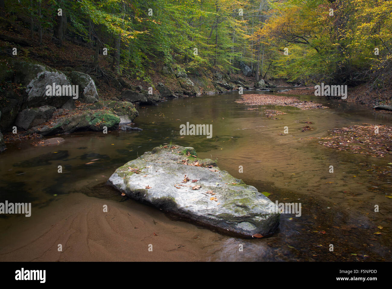 Herbst auf dem Nahen Patuxent River in Howard County, Maryland Stockfoto
