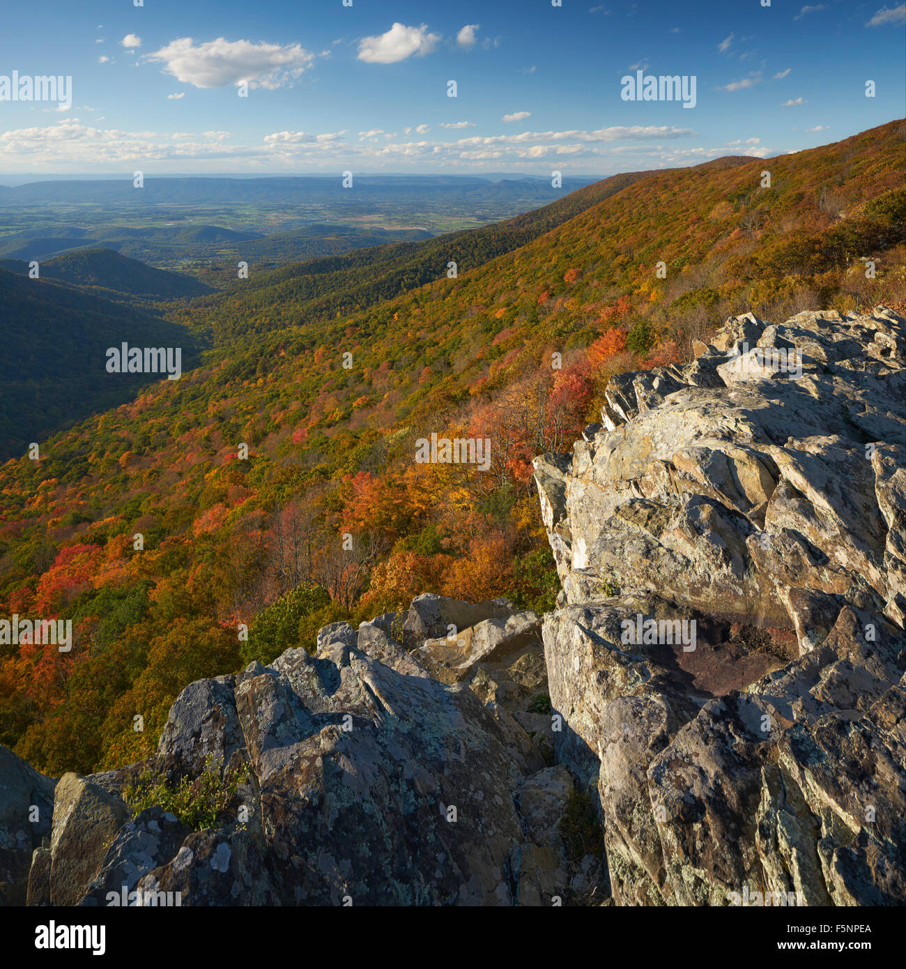 Herbstliche Aussicht vom Halbmond Rock übersehen in Shenandoah-Nationalpark, Virginia Stockfoto