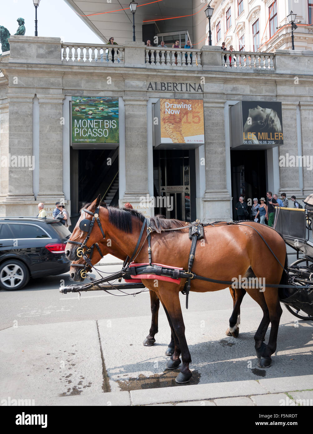 Wien, Österreich - 3. August 2015: Pferde am Eingang des historischen Albertina Museum im alten Zentrum von Wien am august 3, 2015 Stockfoto