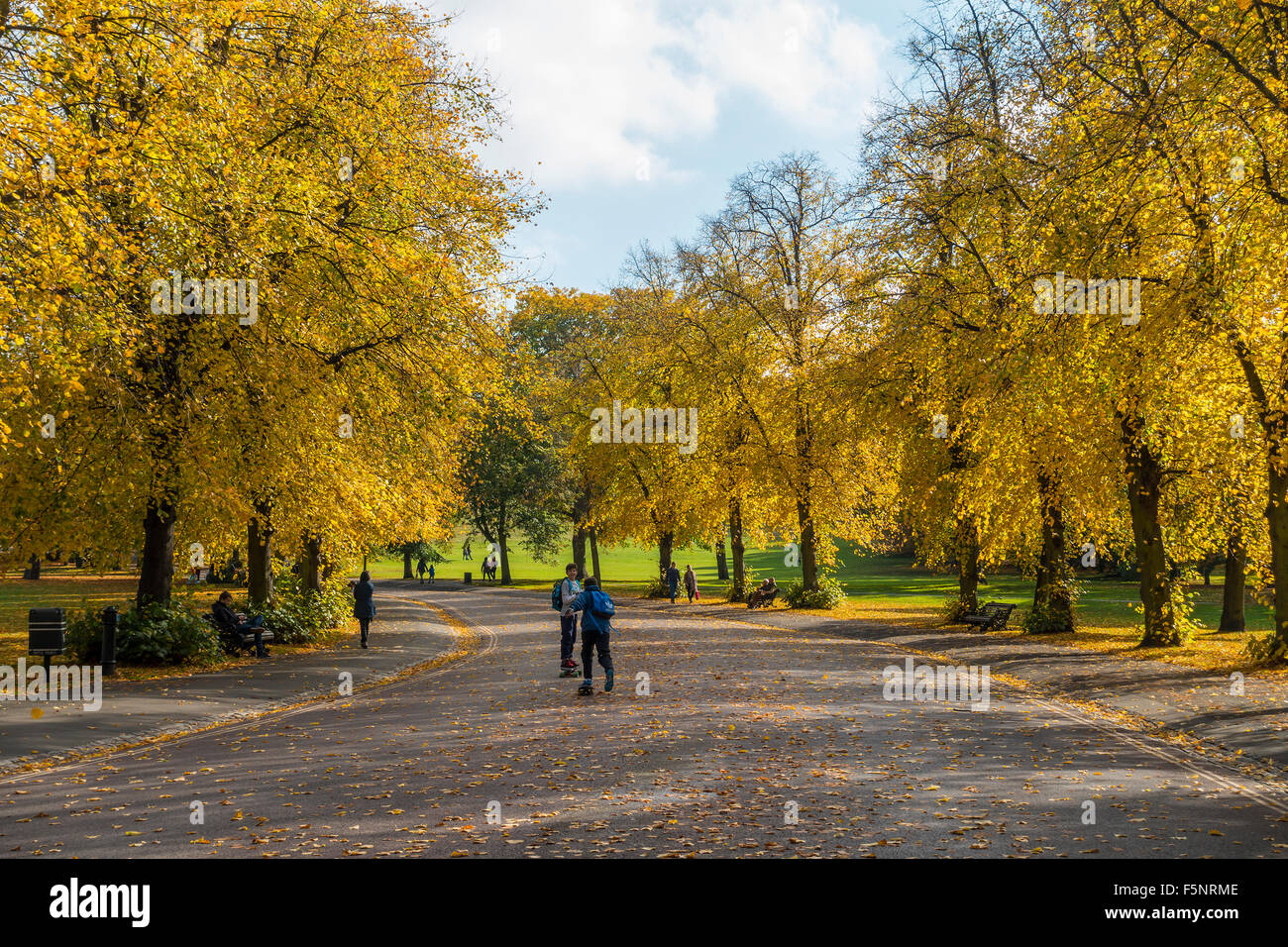 Herbstfarben im Greenwich Park London Stockfoto