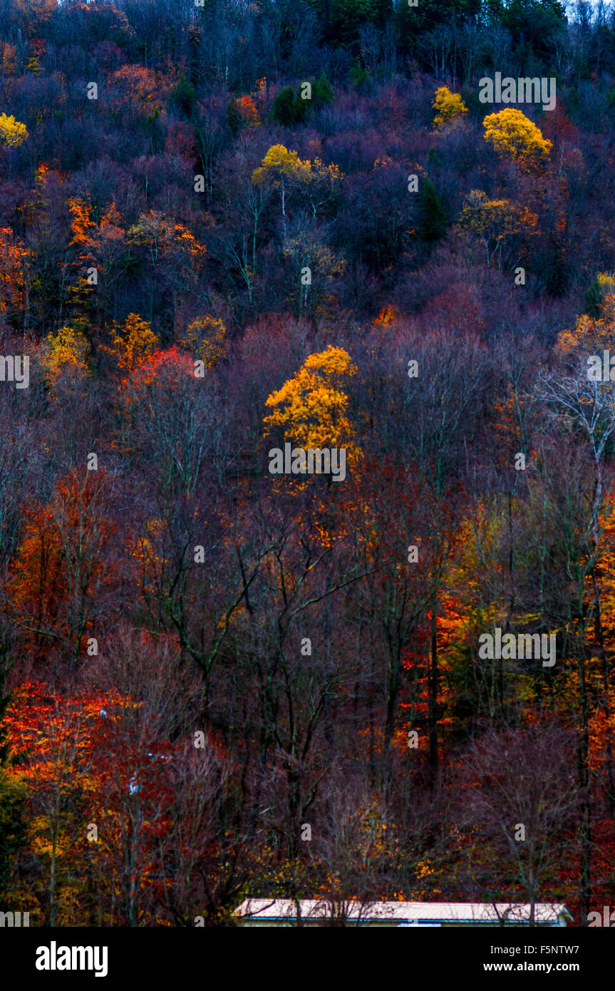 Farben des Herbstes, Natur, malerische, Himmel, Laub, dramatisch, Perspektive, Stockfoto