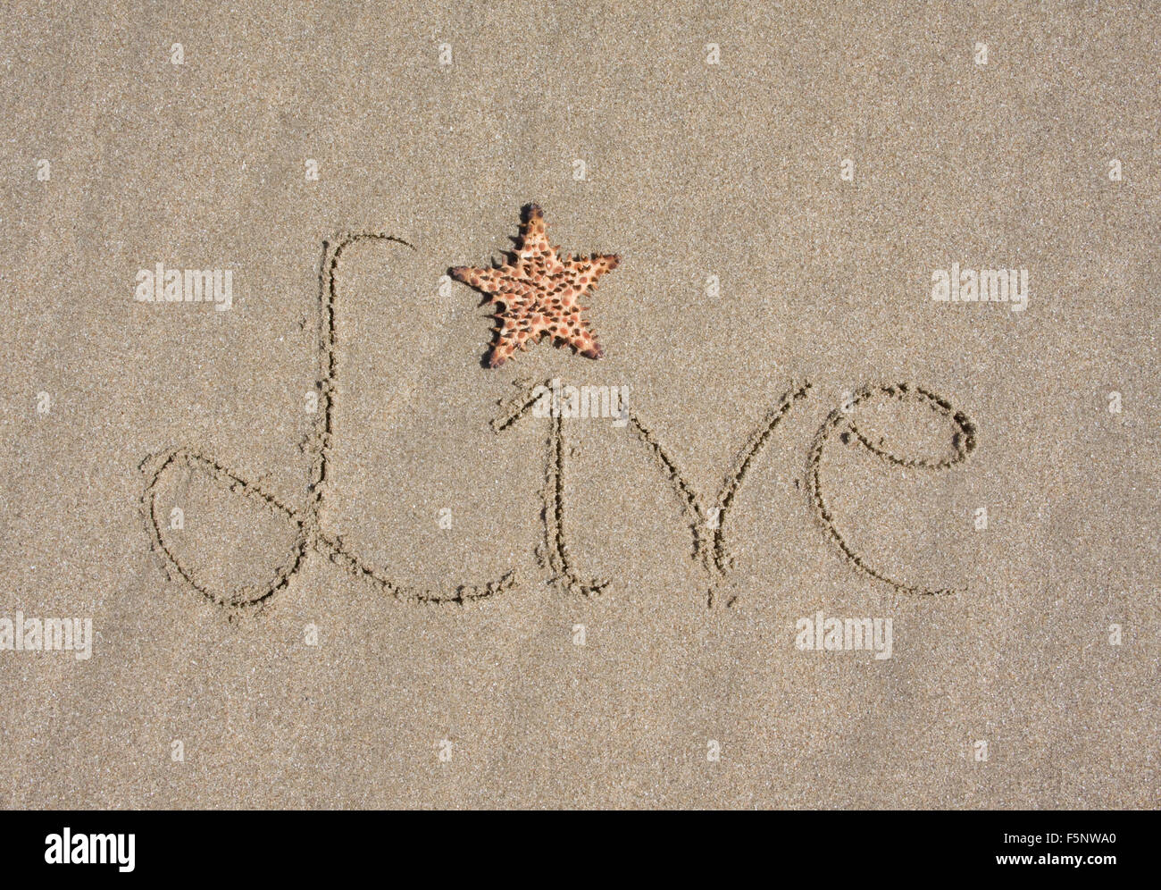 "Live" in Sand am Strand mit Seestern Punktierung das "i" geschrieben.  Finden Sie ähnliche Bilder in meinem Portfolio. Stockfoto