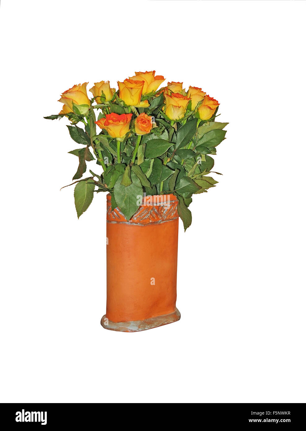 Orange gelbe Rosen in Terrakotta-Vase isoliert auf weiss. Stockfoto