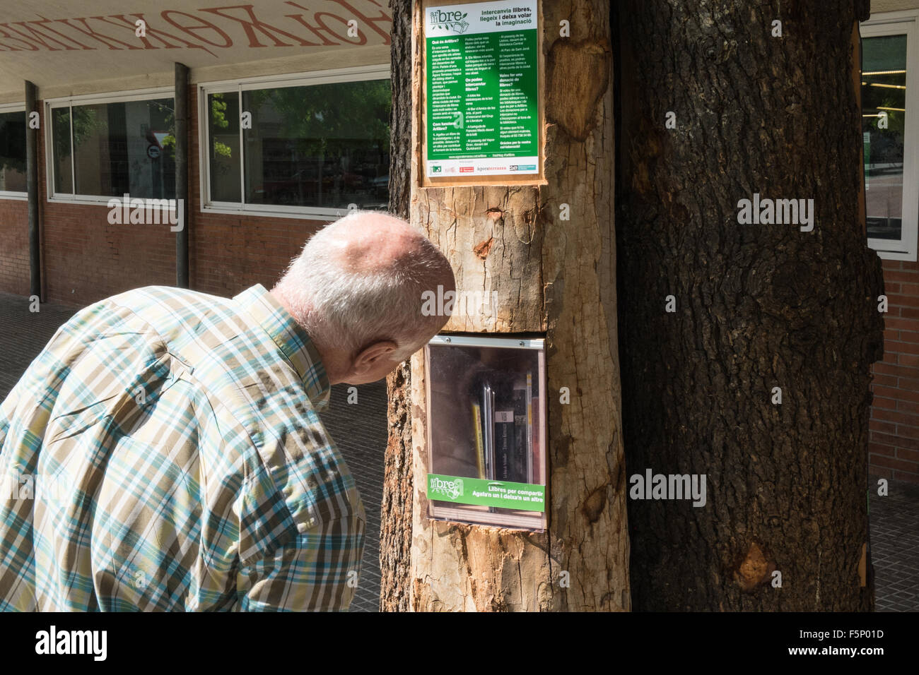 Innovative Idee, verwendet, recycelt, Bücher, die in einem zur Verfügung, Baum, Draußen, Öffentliche Bibliothek, Terrassa, einer Stadt in der Provinz Barcelona, Katalonien, Spanien. Stockfoto