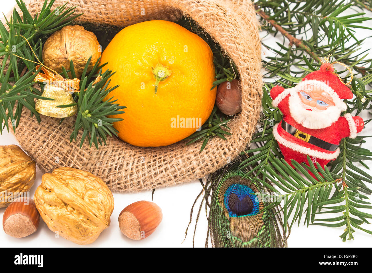 Weihnachts-Dekoration mit Früchten und Santa Claus. Stockfoto
