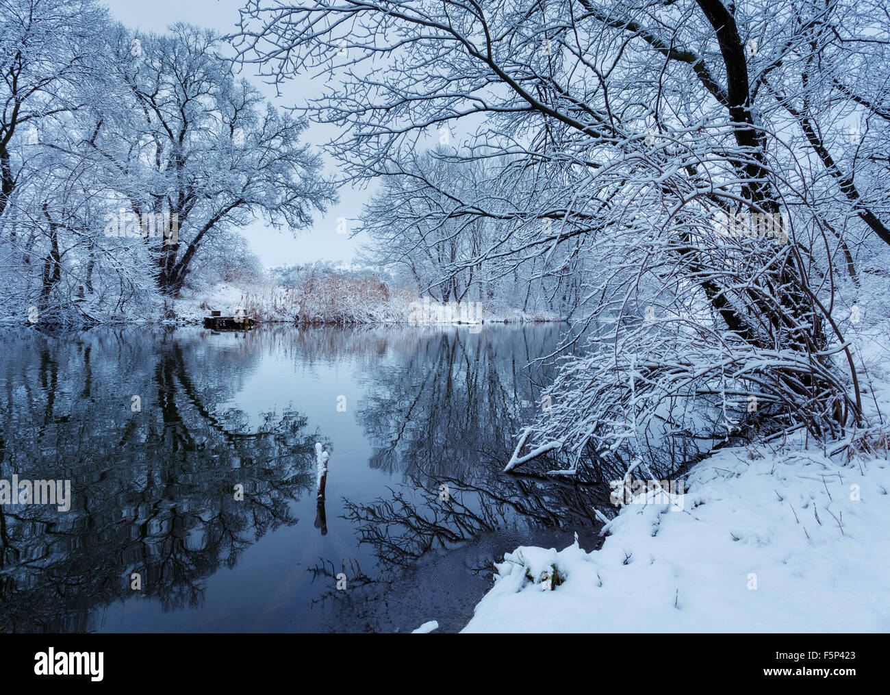 Winterlandschaft mit Fluss im Wald. Stockfoto