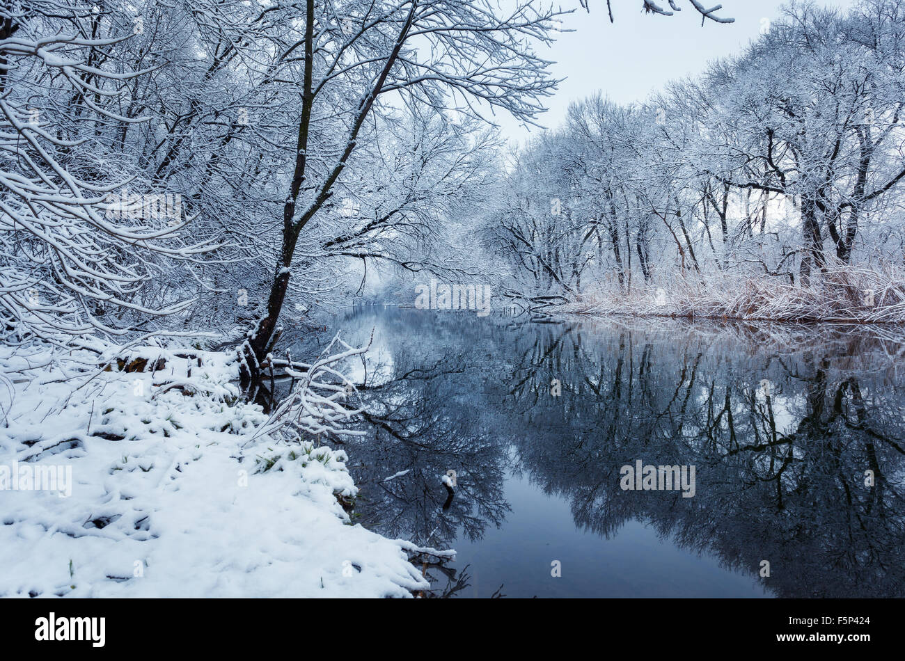 Winterlandschaft mit Fluss im Wald. Stockfoto