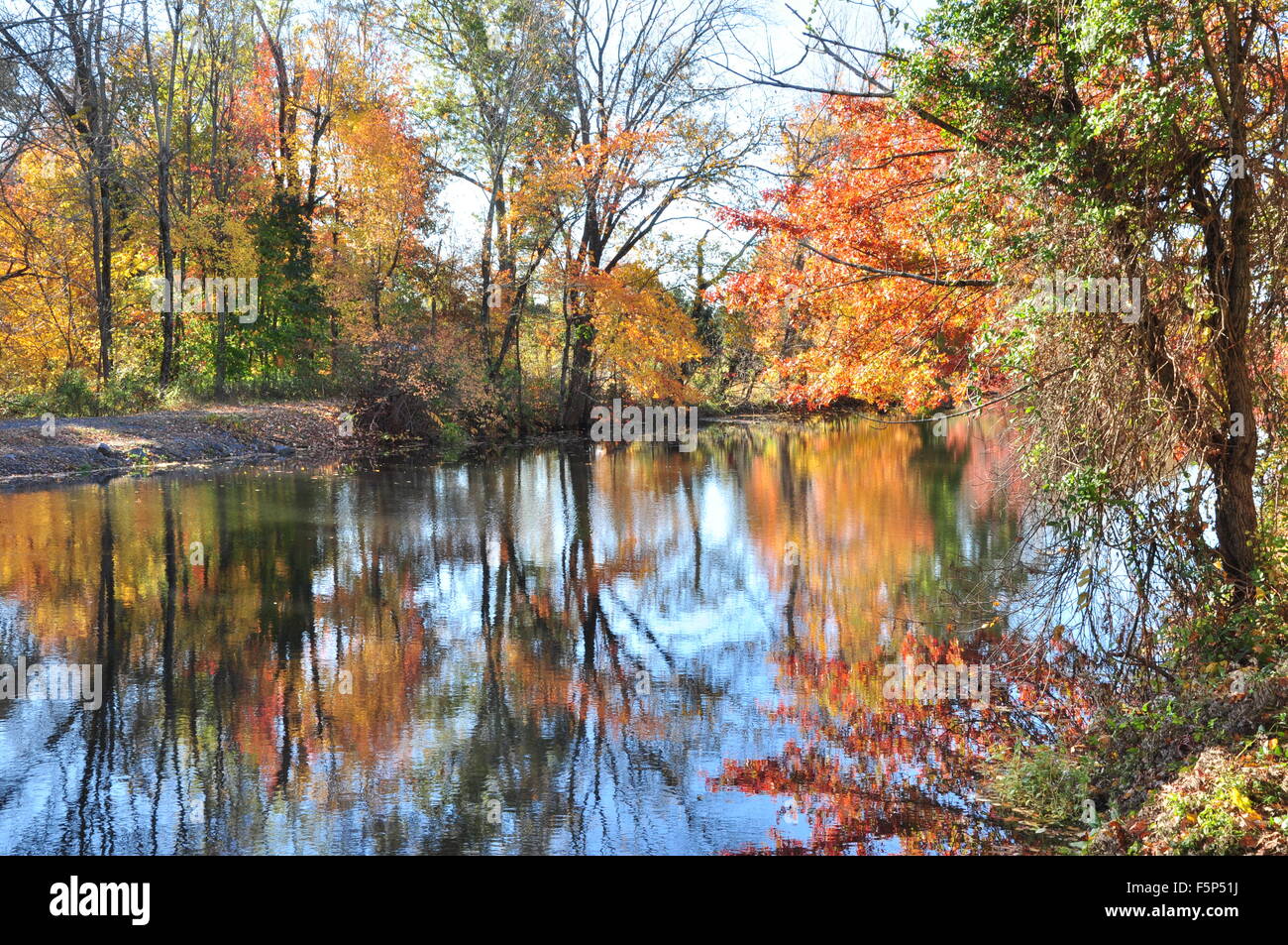 Herbstlaub: New Jersey Kanal Trail Stockfoto