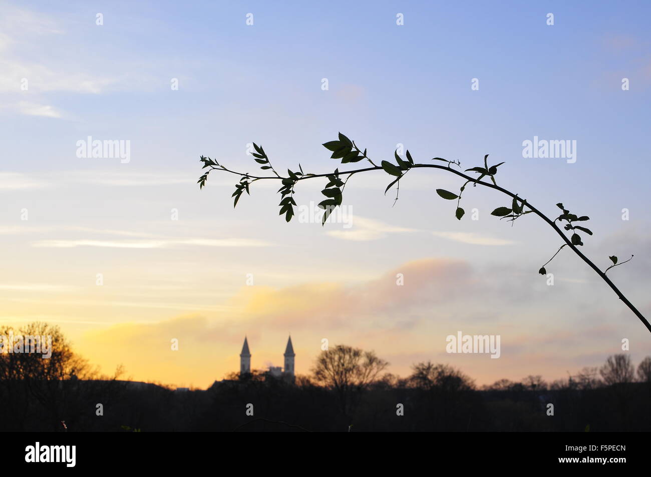 Türme der Universitätskirche, München, Bayern, Deutschland, Europa Stockfoto