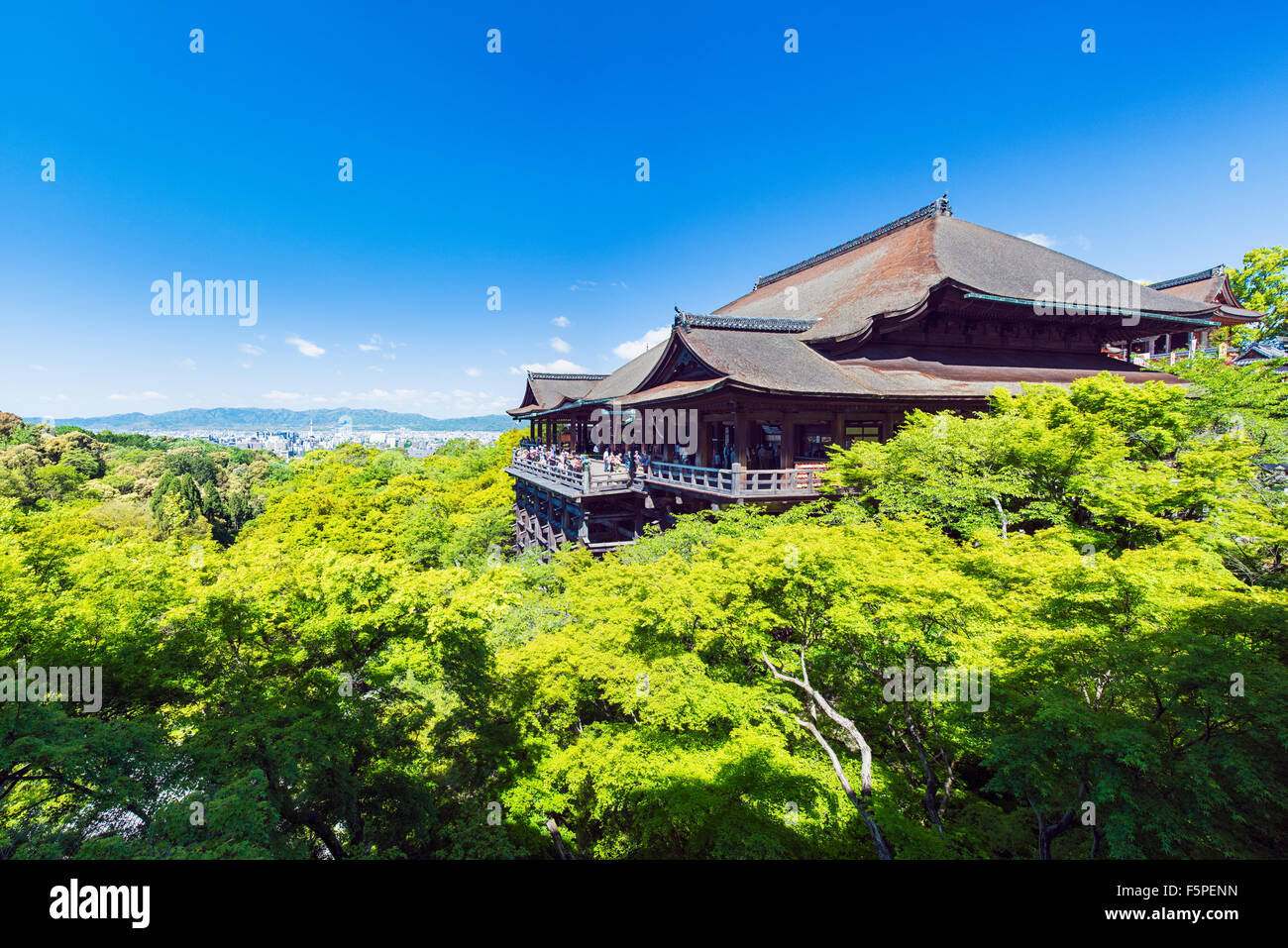 Kiyomizu-Dera Tempel, umgeben von üppiger Vegetation an einem klaren sonnigen Tag im Frühling Stockfoto