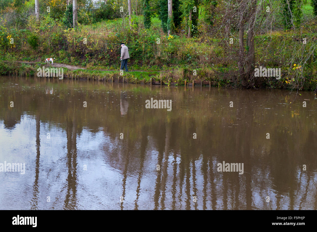 Furnished, Bath, Somerset, Großbritannien Wetter 8. November 2015. Ein Mann geht seinen Hund entlang der Leinpfad am Fluss Avon an einem bewölkten Morgen. Foto von: Richard Wayman/Alamy Live-Nachrichten Stockfoto