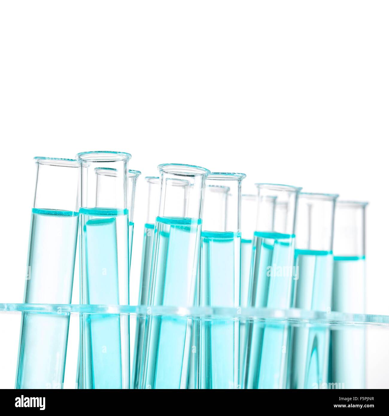 Flüssigkeit in den Reagenzgläsern in einem Reagenzglas Gestell vor einem weißen Hintergrund. Stockfoto