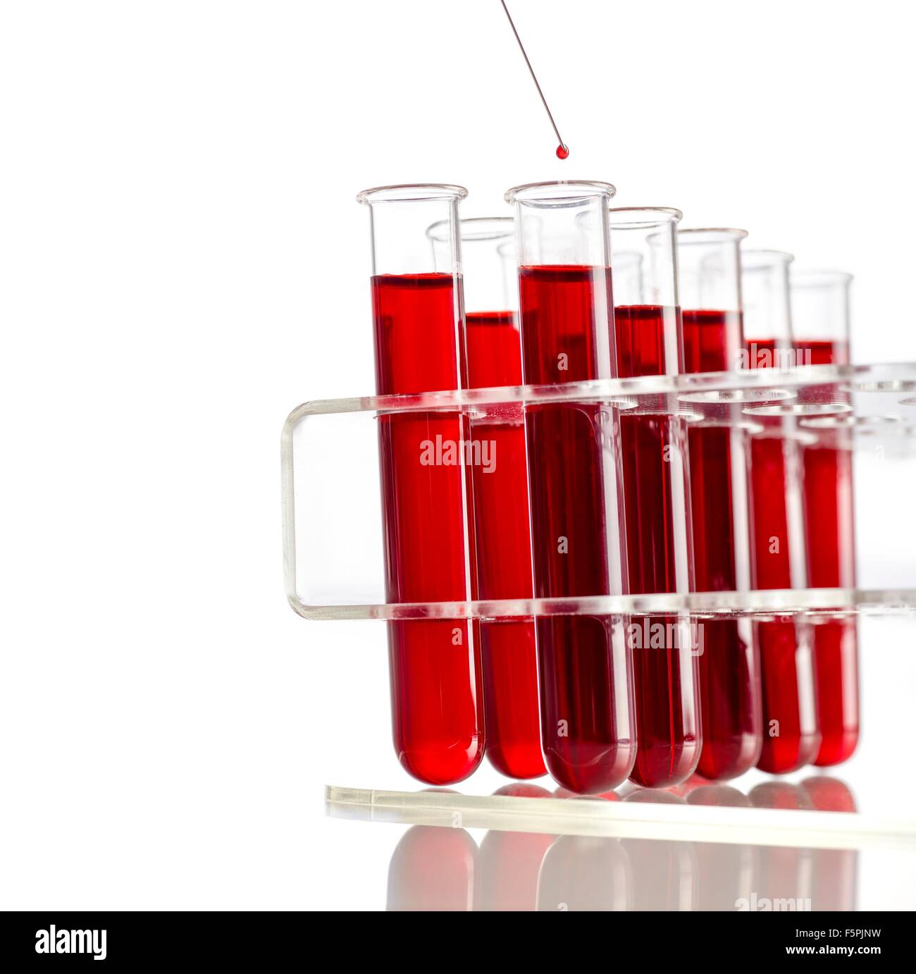 Spritze tropfenden Blutprobe in Reagenzgläser in einem Rack. Stockfoto