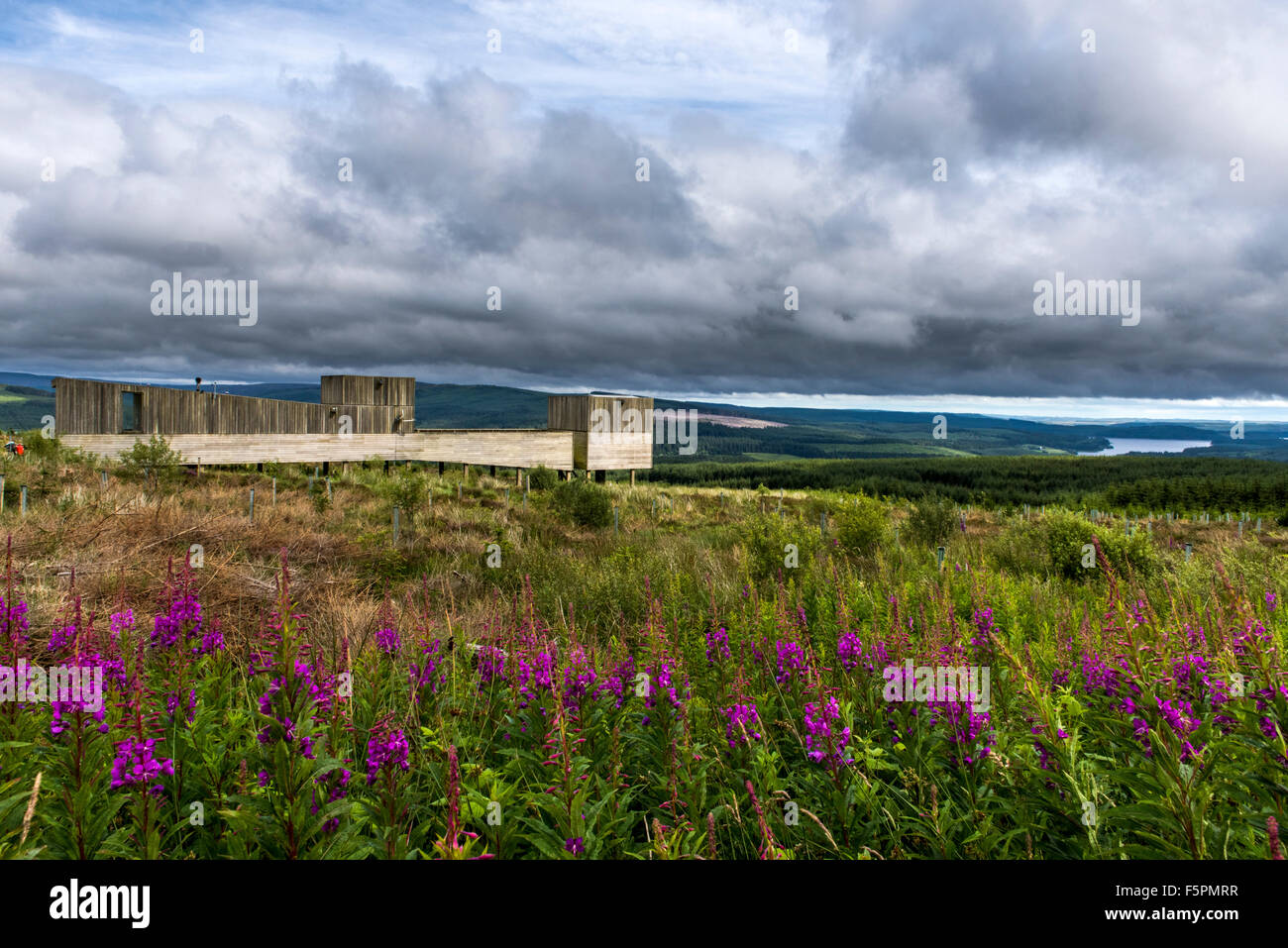 Kielder Observatory Kielder Wasser und Waldpark, Northumberland, England, Großbritannien, Vereinigtes Königreich Stockfoto