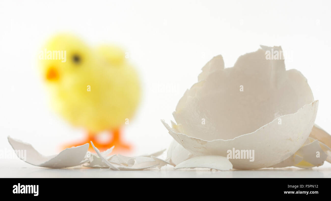 Eierschale Risse und Neugeborenen Spielzeug Huhn hinter Stockfoto