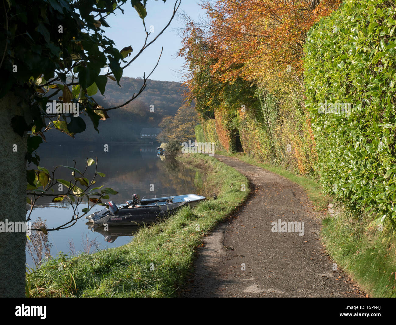 Riverside Weg mit Herbst Farbe bei while Cornwall Stockfoto
