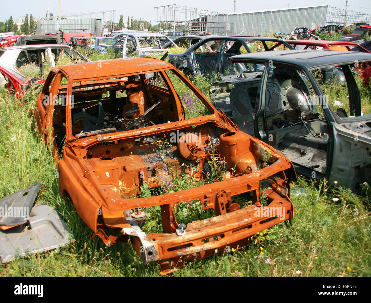 Alte rostige Auto auf der Wiese Stockfoto