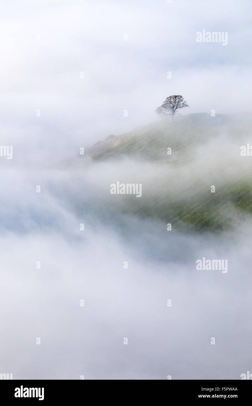 Nebel über Felder Rollen in The Peak District National Park, Großbritannien Stockfoto