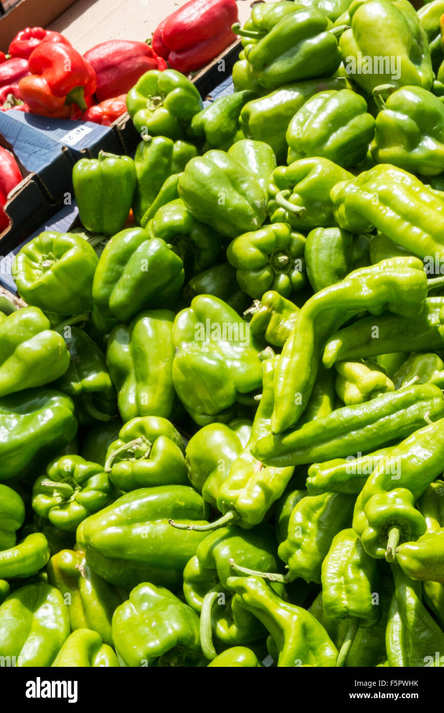 Grüne Paprika zum Verkauf im Shop, stall in Esperaza Markt, Aude, Südfrankreich. Stockfoto