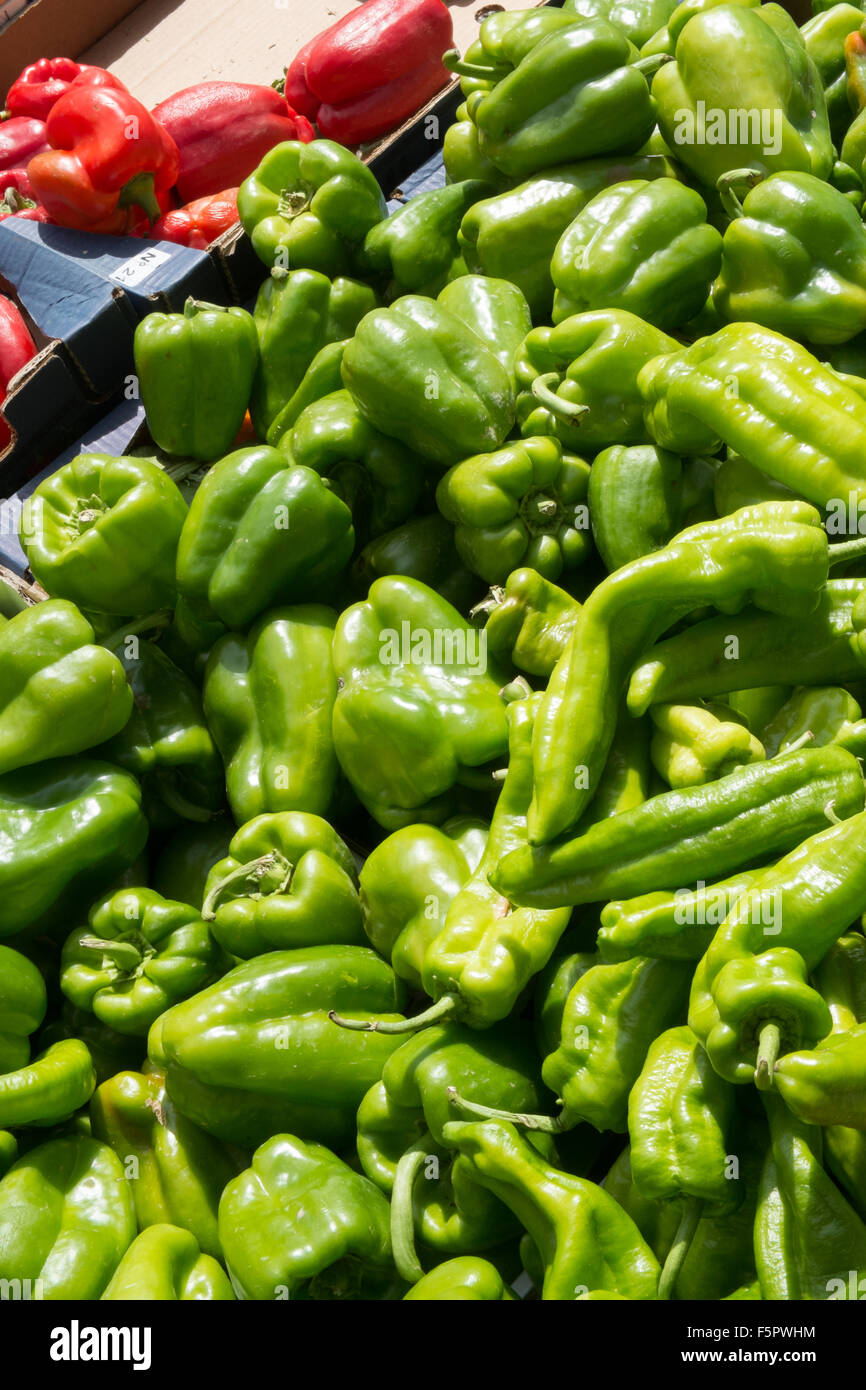 Grüne Paprika zum Verkauf im Shop, stall in Esperaza Markt, Aude, Südfrankreich. Stockfoto