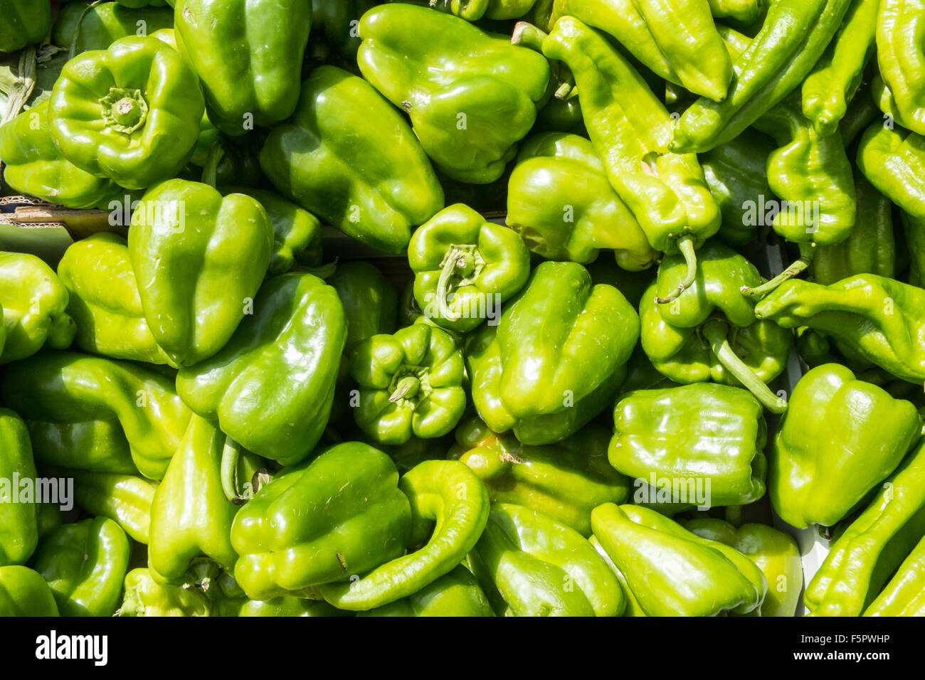 Grün, Paprika, für den Verkauf im Shop, Abschaltdruck am Esperaza Markt, Aude, Süden, Frankreich. Stockfoto
