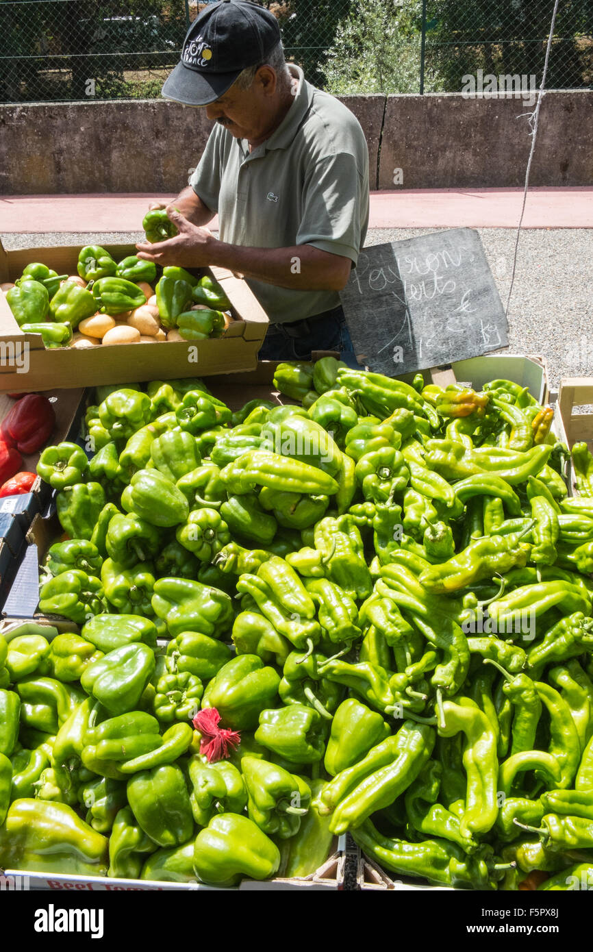 Grüne Paprika für den Verkauf im Shop, Abschaltdruck am Esperaza Markt, Aude, Süden, Frankreich. Stockfoto
