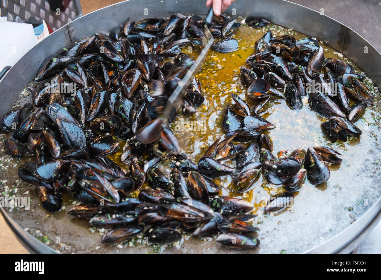 Miesmuscheln, gekocht, französische Delikatesse bei Abschaltdruck an esperaza Nachtmarkt, Aude, Südfrankreich. Stockfoto