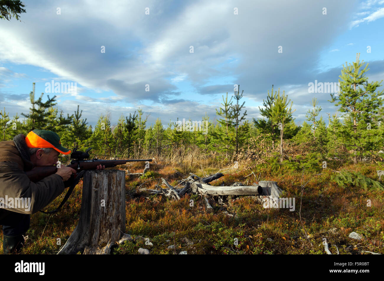 Mit dem Ziel mit einem Gewehr in den Wald, Bild aus Nordschweden Elchjäger. Stockfoto