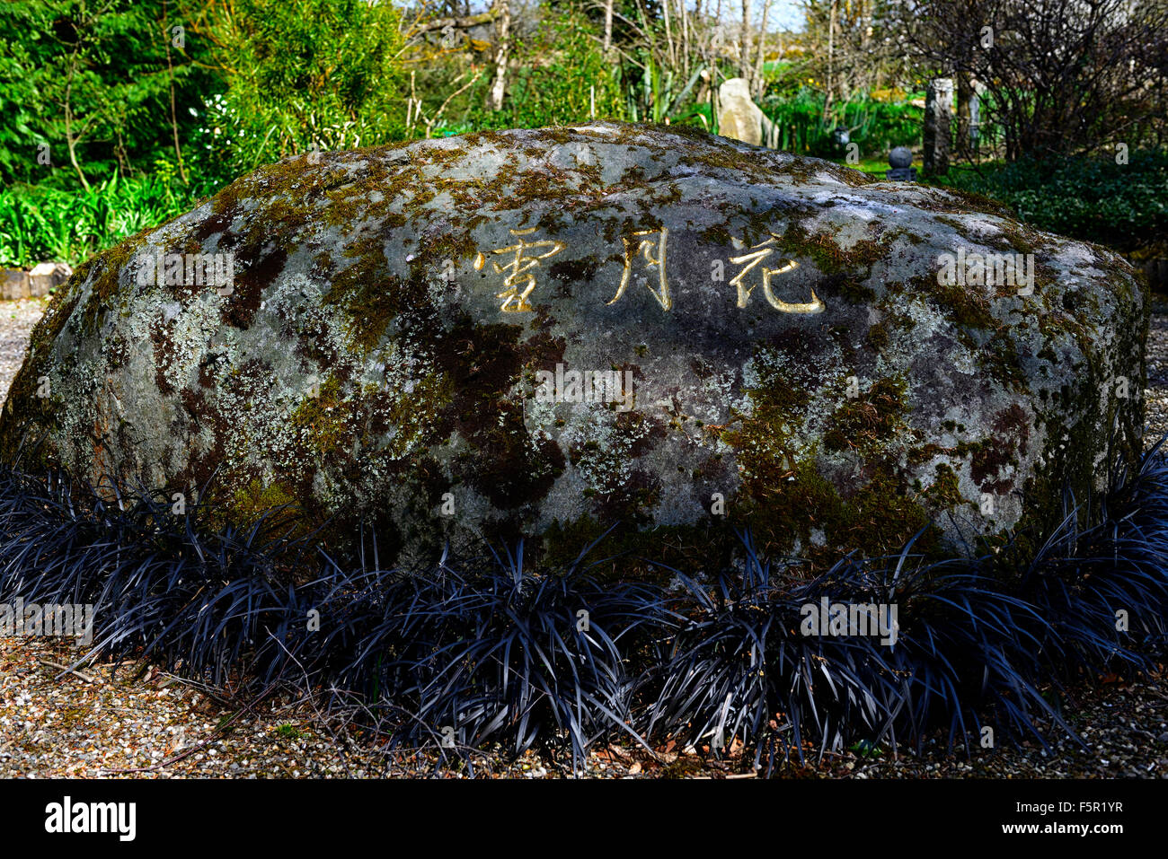 Kanji-schneeblumen Mond-Zeichen schreiben schriftliche Boulder Knockanree Garten Wicklow Irland Garten verfügen über RM-Floral Stockfoto