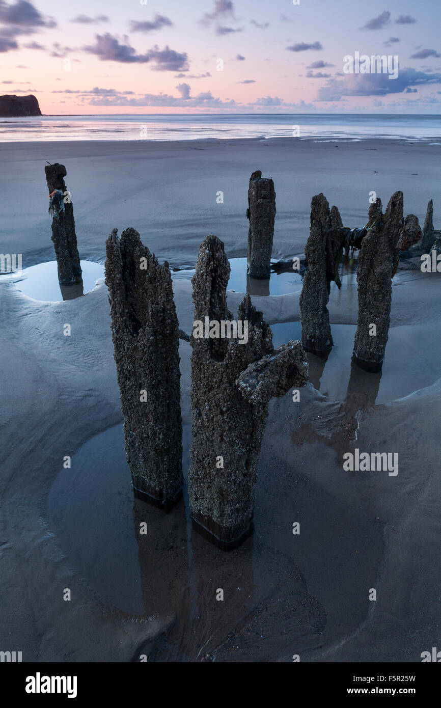 Buhnen bei Sonnenuntergang in Barnicles am Strand von Whitbys abgedeckt. Stockfoto