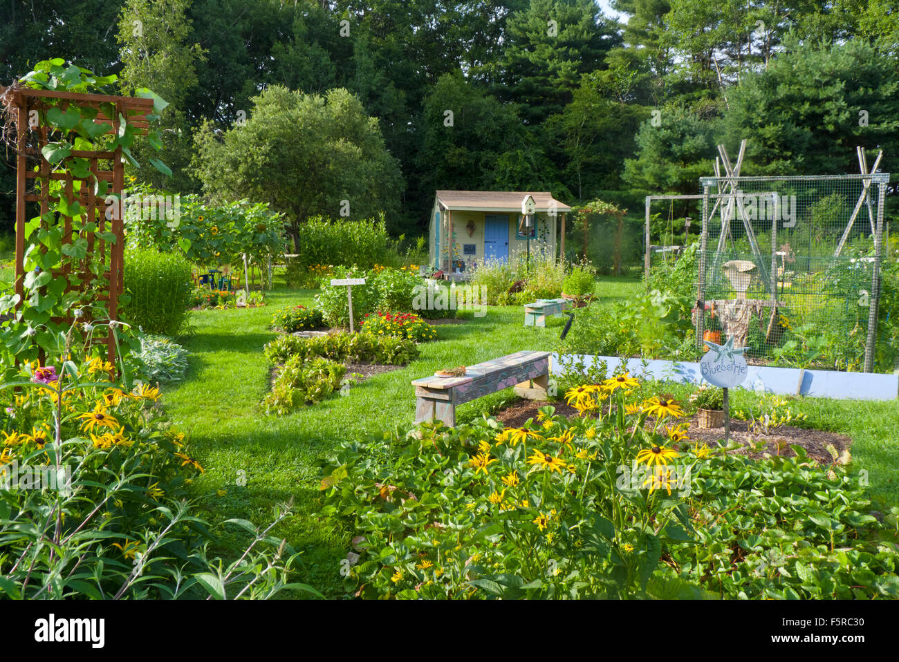 Abend in den Gemeinschaftsgarten auf der Kinder Schuppen, Yarmouth ME Stockfoto