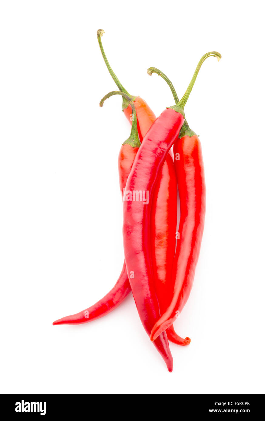 Red hot chili Pepper. Isoliert auf weißem Hintergrund. Stockfoto