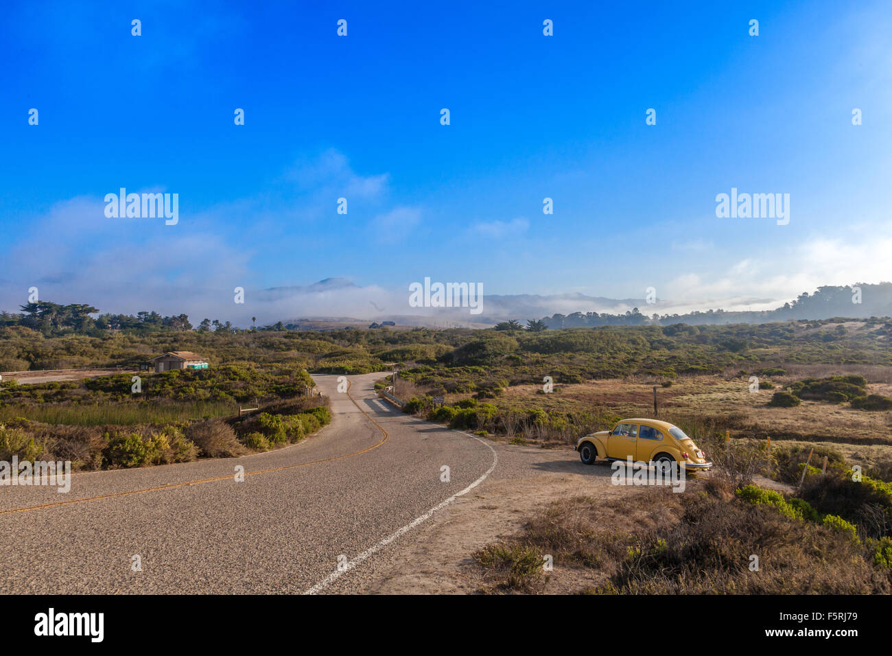 Am Straßenrand San Luis Obispo California PCH Vereinigte Staaten von Amerika Stockfoto