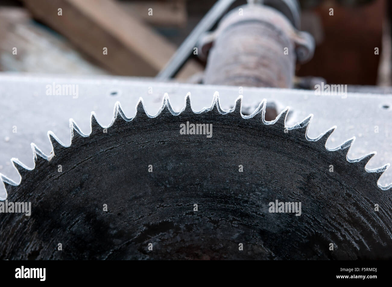 Nahaufnahme eine Kreissäge Stockfoto