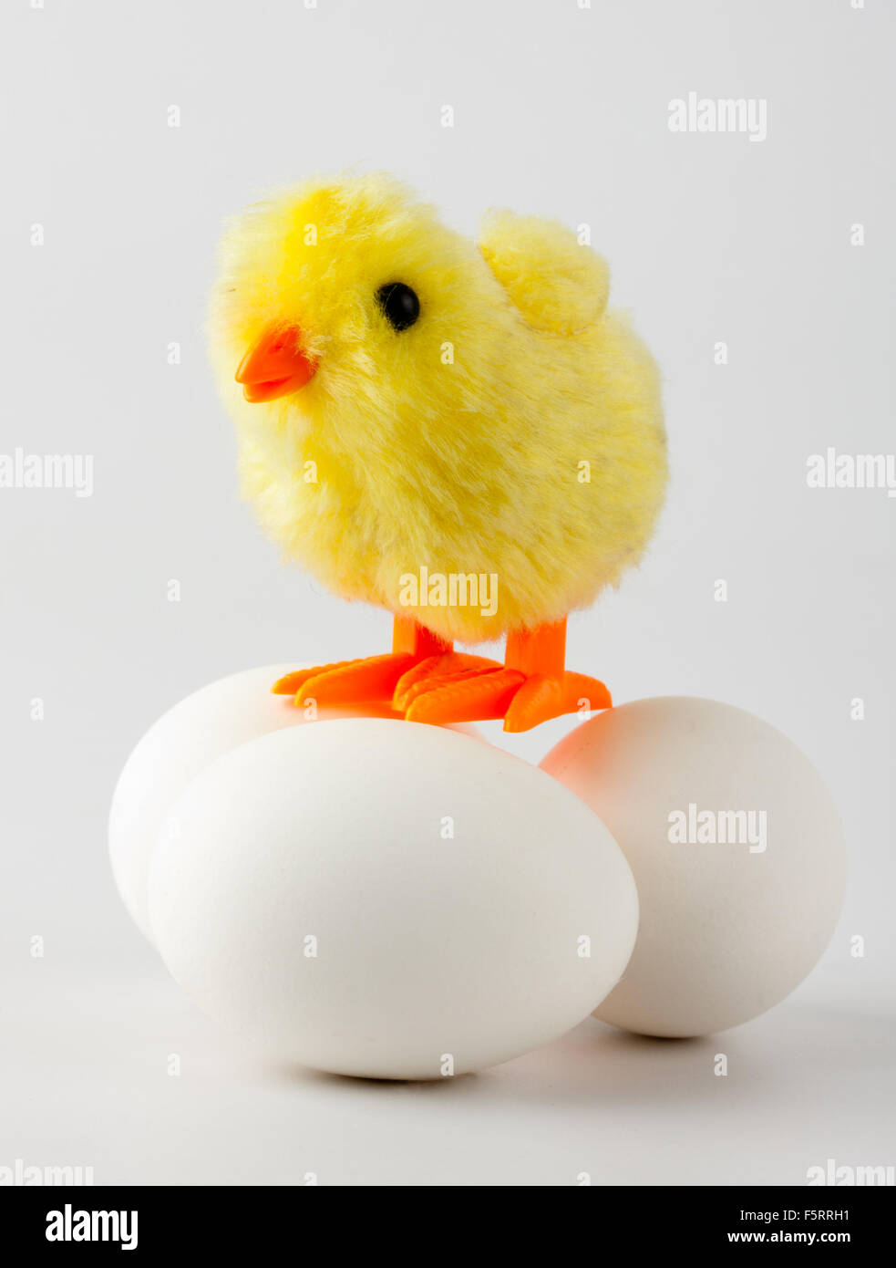 Kleines Spielzeug Baby Huhn stehend auf den Eiern Stockfoto