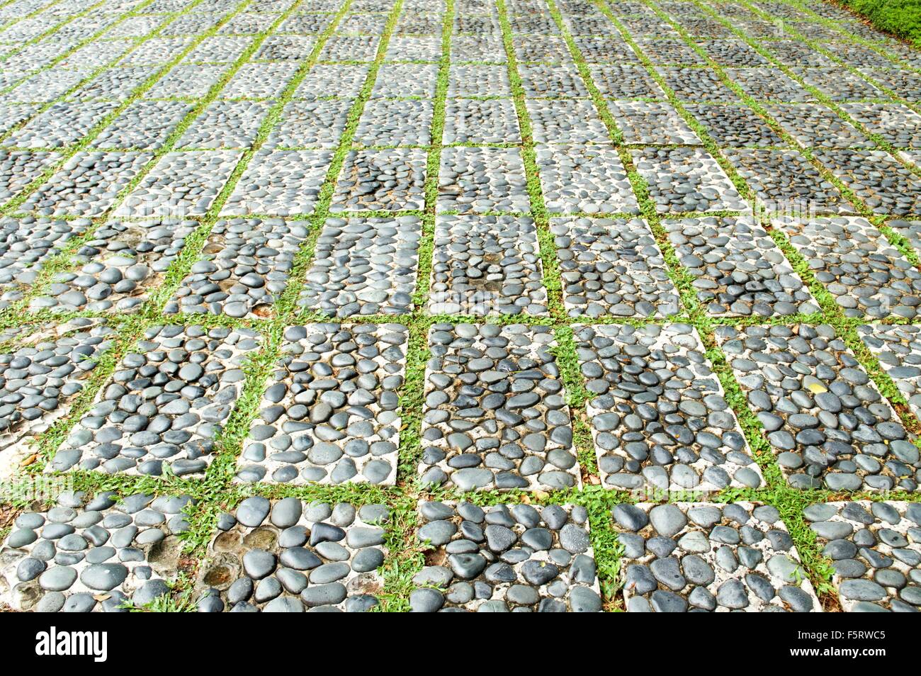 Trippelte Stock mit Gras- und Stein Stockfoto