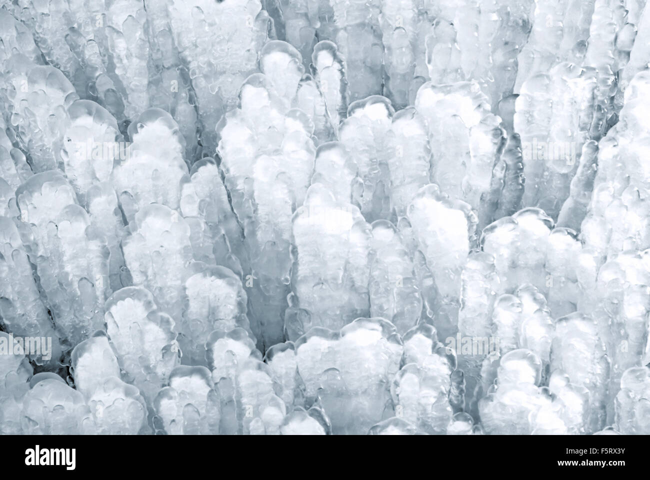 Eiszapfen stehend nach oben, ein schönes natürliches Phänomen Stockfoto