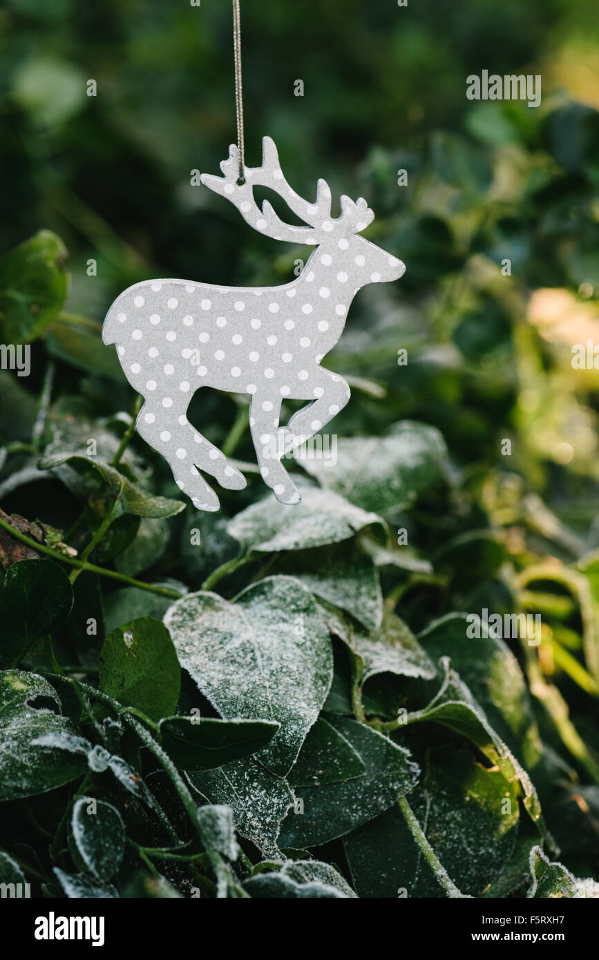 Weihnachten Rentier ornament im Baum Stockfoto